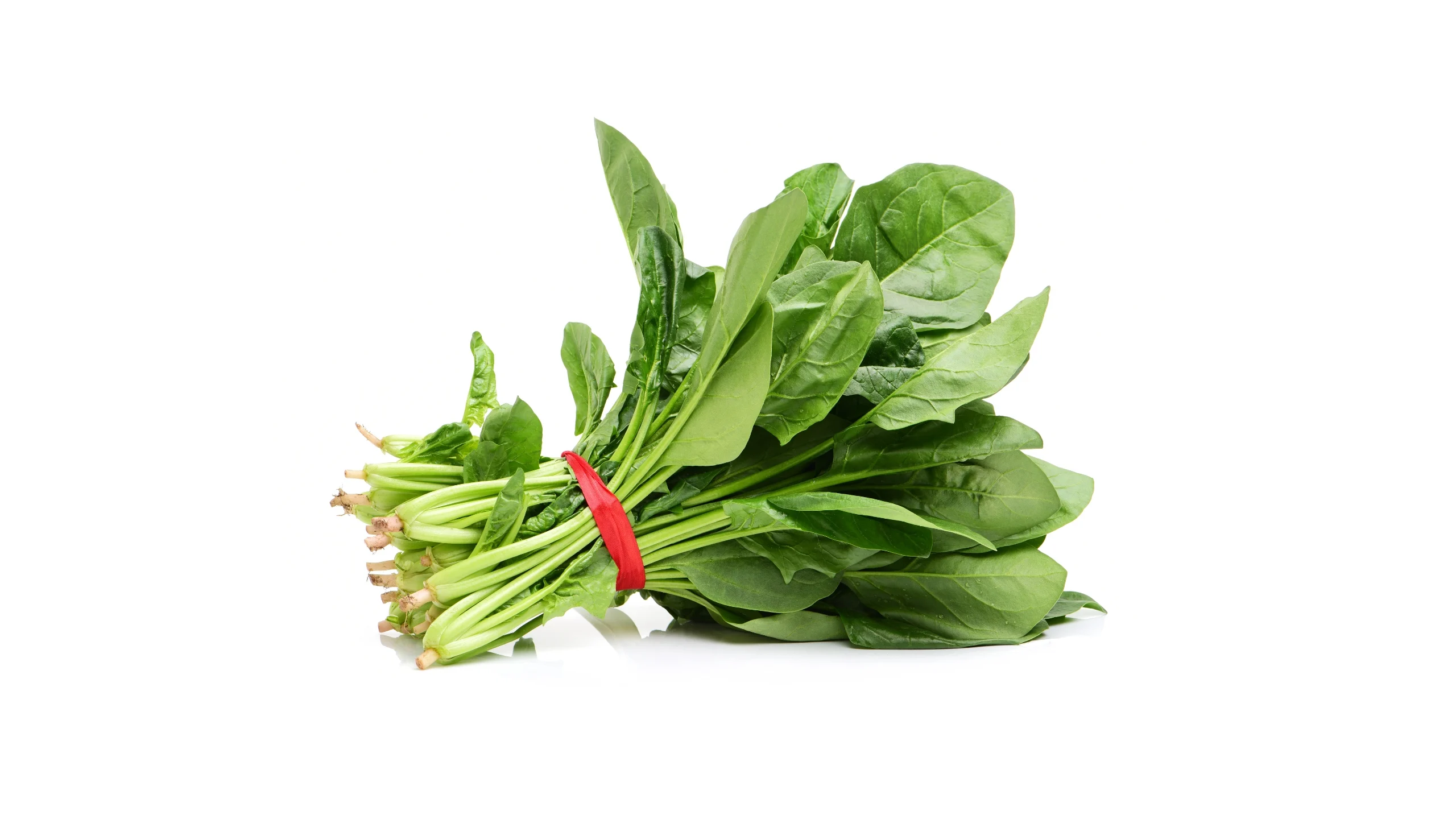 Spinach (पालक)
