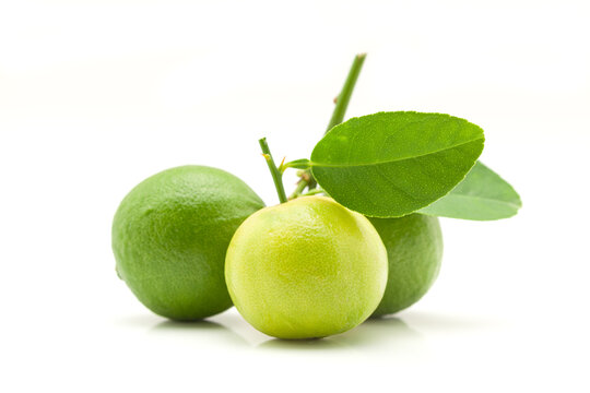 Lemon (नींबू)