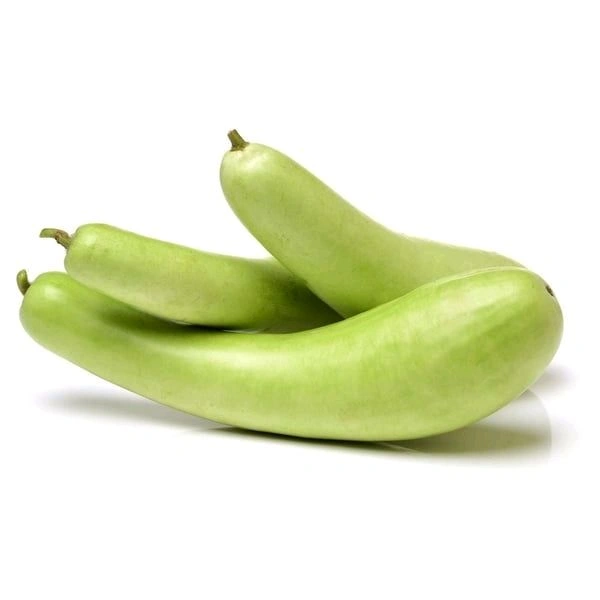 Bottle Gourd (लौकी)