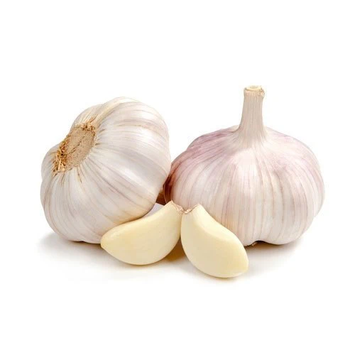 Garlic (लहसुन)