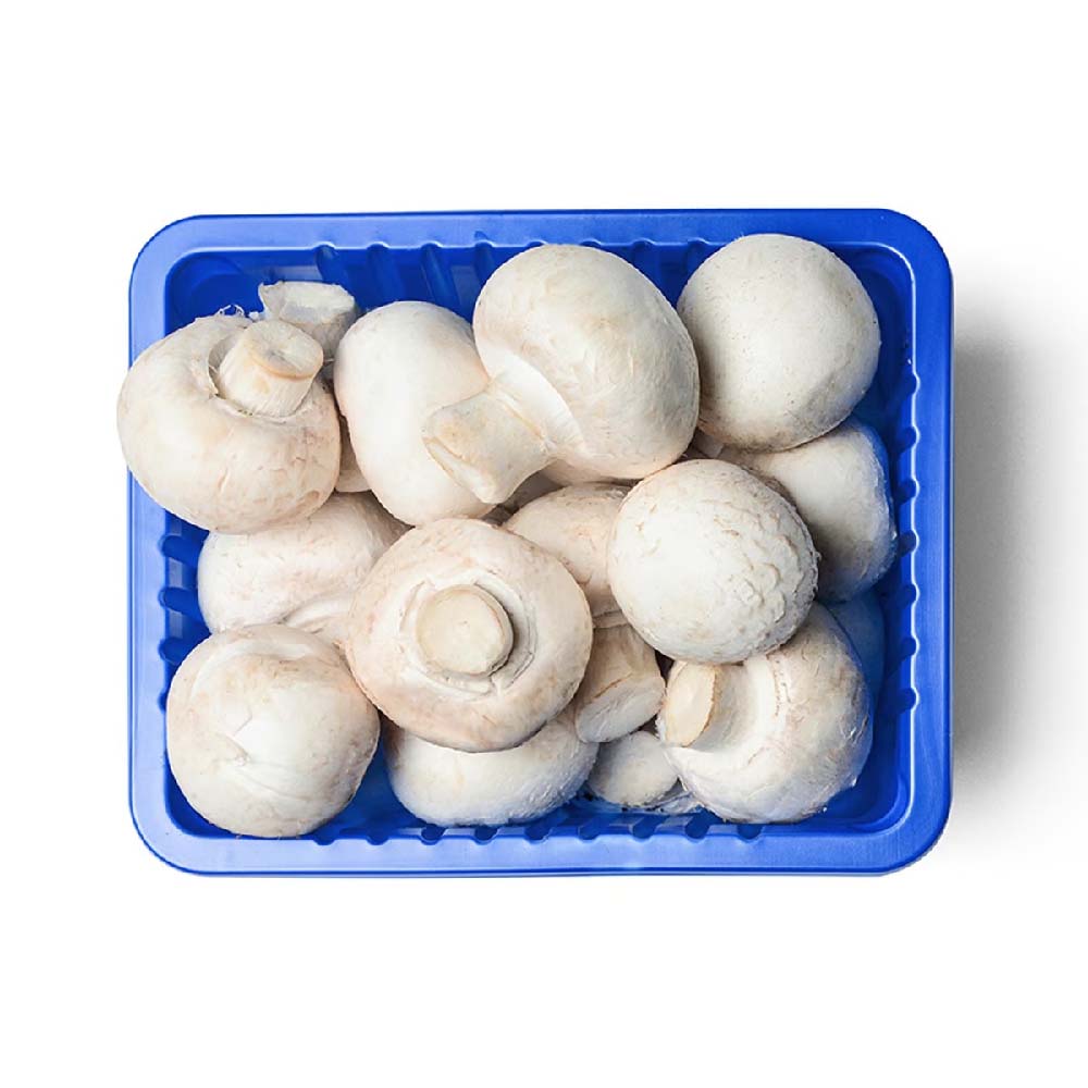 Mushroom (मशरूम)