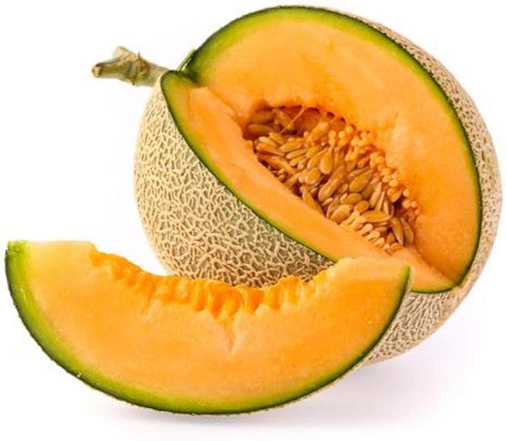 Muskmelon (खरबूजा)