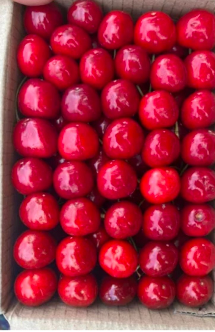 Cherry 