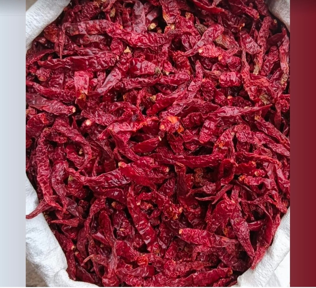 Kashmiri Sabut Red Chilli 